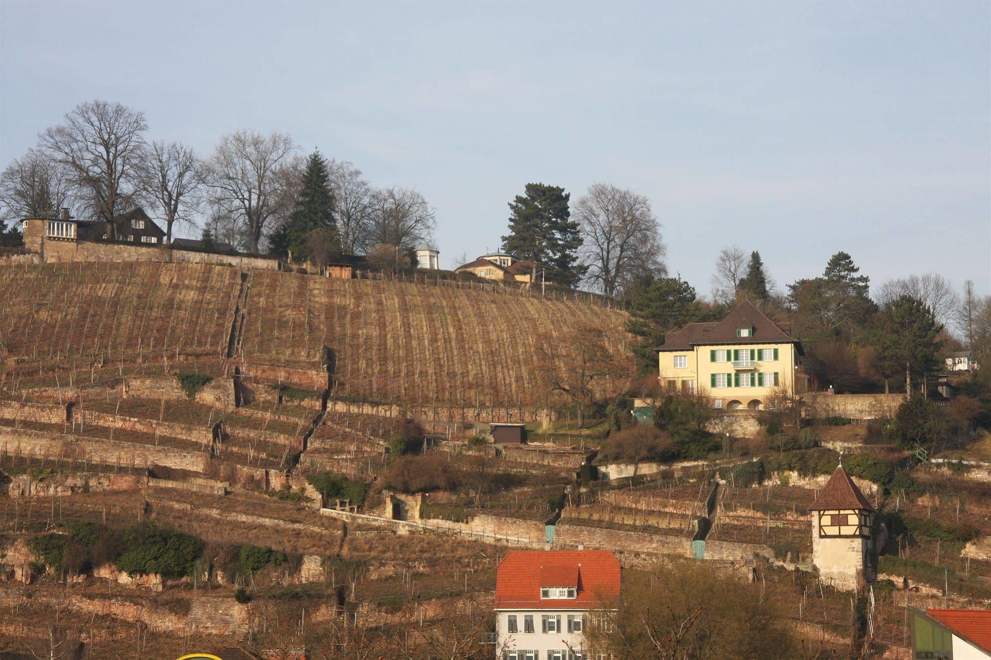 Hotel Am Schelztor Esslingen am Neckar ภายนอก รูปภาพ